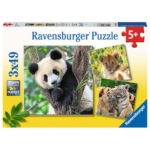 Panda, Tiger und Löwe