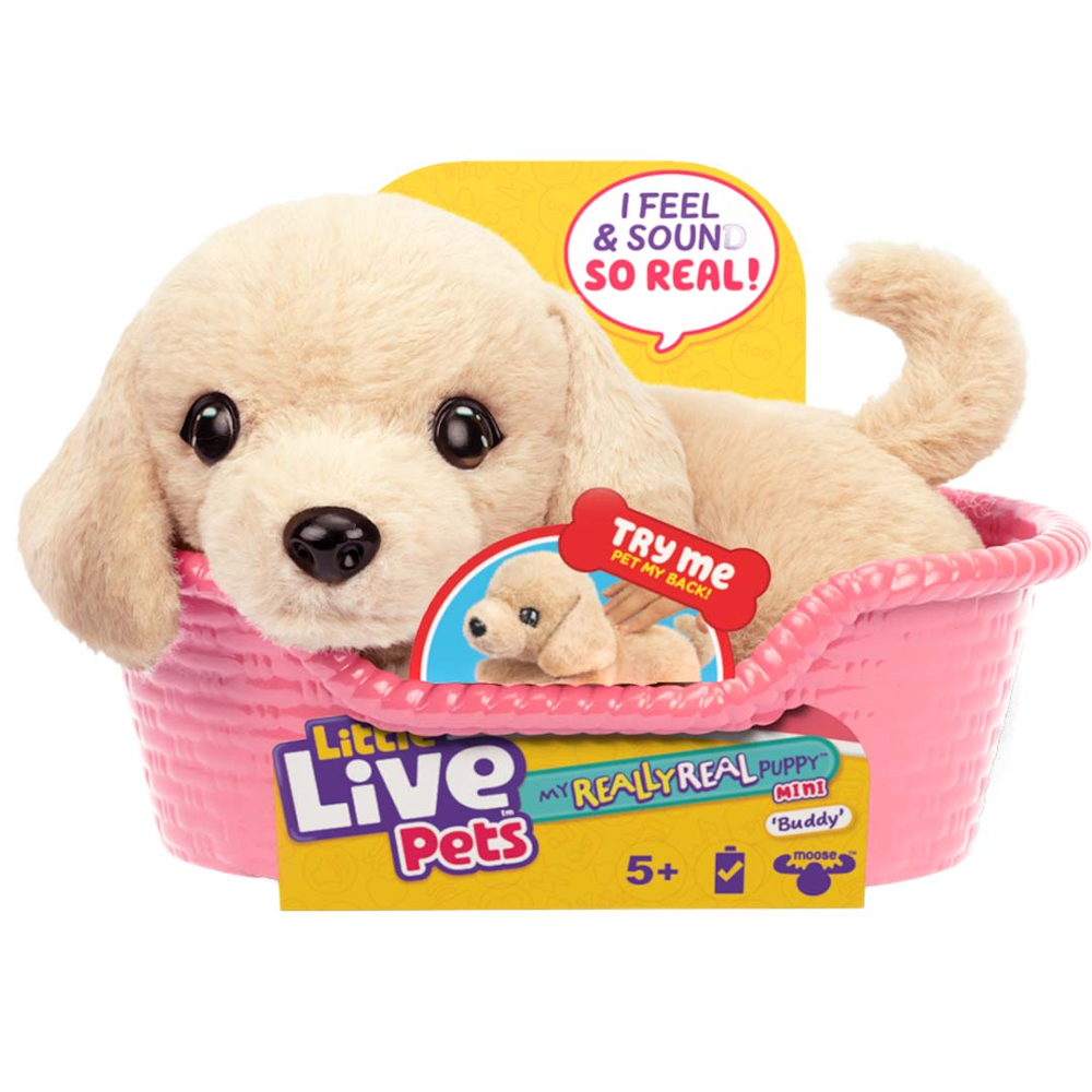 Little Live Pets: My Really Real Puppy Mini Buddy der Labrador