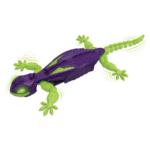 Hex Bots Wall Crawler Gecko RC