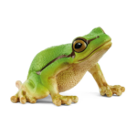 Schleich Europäischer Laubfrosch